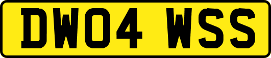 DW04WSS