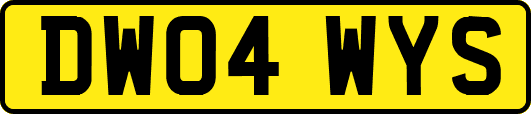 DW04WYS