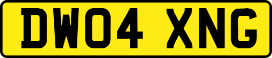 DW04XNG