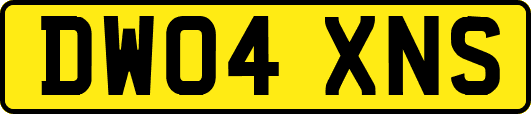 DW04XNS