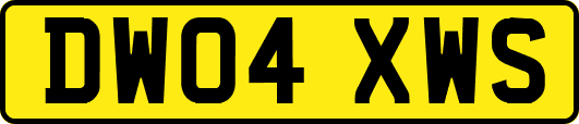 DW04XWS
