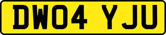 DW04YJU