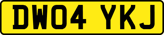 DW04YKJ