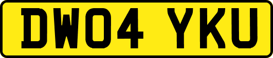DW04YKU