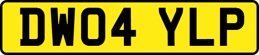 DW04YLP