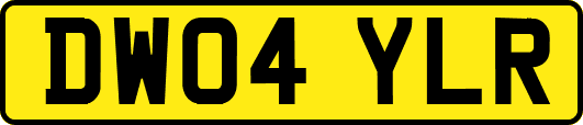 DW04YLR