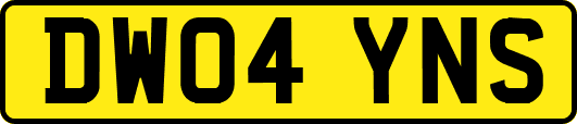 DW04YNS