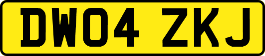 DW04ZKJ