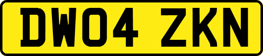 DW04ZKN