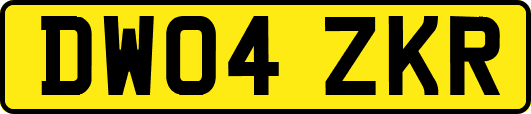 DW04ZKR