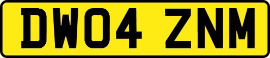 DW04ZNM