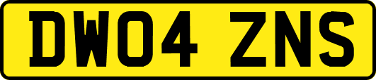 DW04ZNS