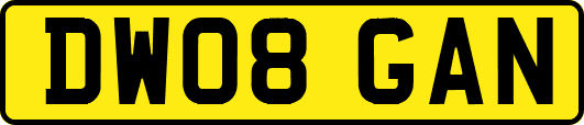 DW08GAN
