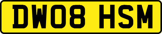 DW08HSM
