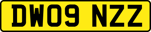 DW09NZZ