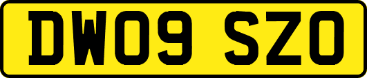 DW09SZO