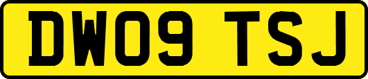 DW09TSJ