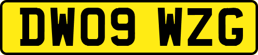 DW09WZG