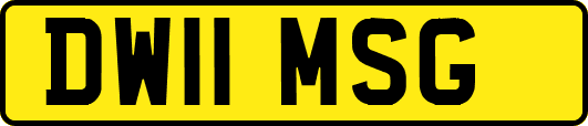DW11MSG