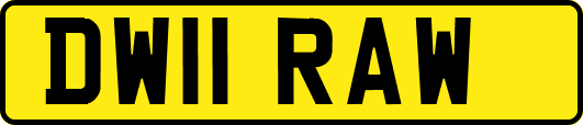 DW11RAW