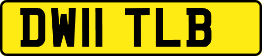 DW11TLB