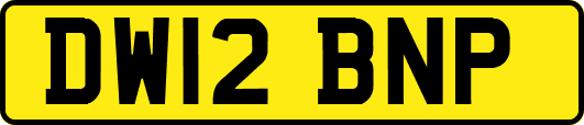 DW12BNP