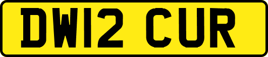 DW12CUR