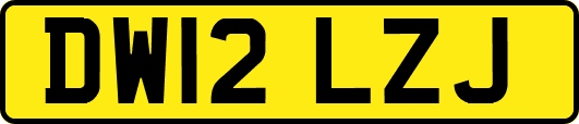 DW12LZJ