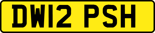 DW12PSH