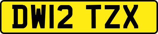 DW12TZX