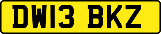 DW13BKZ