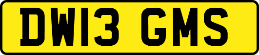 DW13GMS