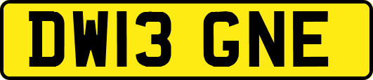 DW13GNE