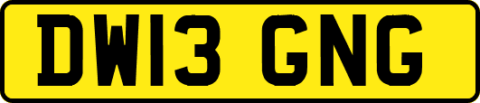 DW13GNG