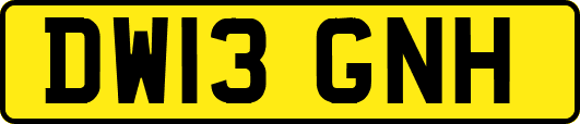 DW13GNH