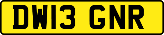 DW13GNR