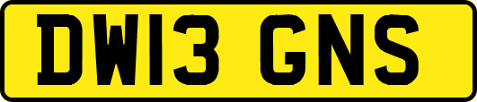 DW13GNS
