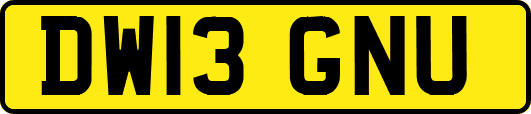 DW13GNU