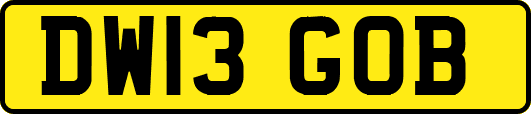 DW13GOB