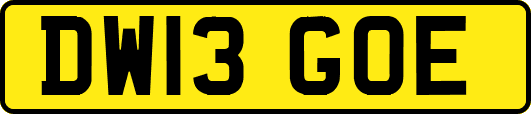 DW13GOE