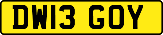 DW13GOY