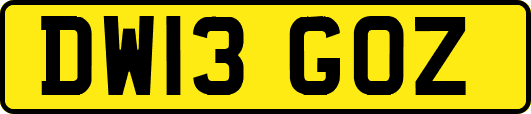 DW13GOZ