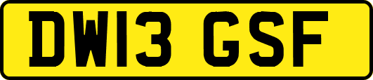 DW13GSF
