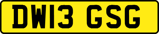 DW13GSG