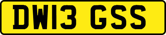 DW13GSS