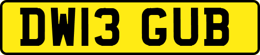 DW13GUB