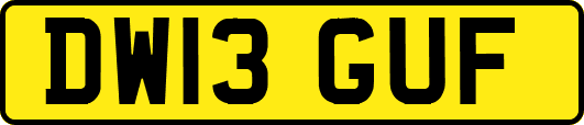 DW13GUF