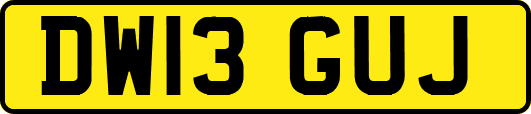 DW13GUJ