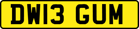 DW13GUM