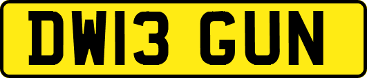 DW13GUN